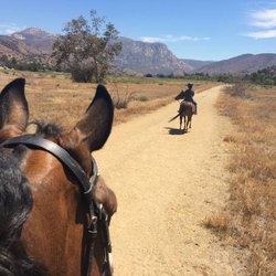 River Valley Equestrian Center - Trail ride located a little more than mile from RVEC. You can get to the trail without crossing or going along any roads.