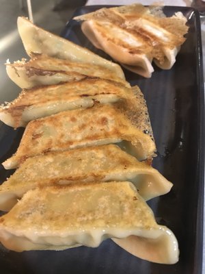 Tokyo Dumpling by null