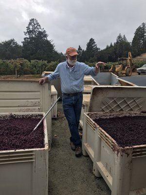 Smith-Madrone Vineyards by null