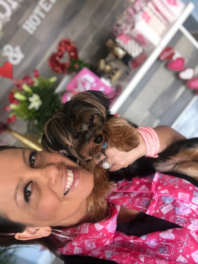 JACKIE’S GROOMING SPA & HOTEL 26 Photos 640 E Ocean Avenue, Boynton