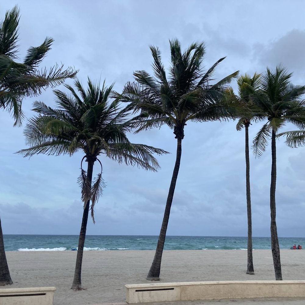 Why Not - Seafood Near Me - Hollywood, Florida Why Not - Seafood Near Me - Hollywood, Florida