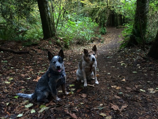Lake Padden Park by null