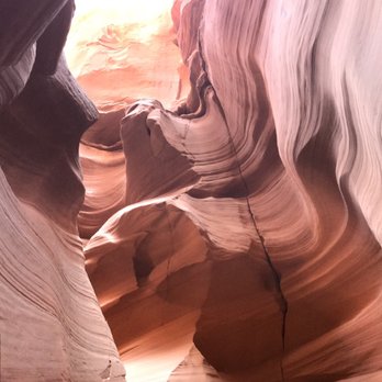 Taadidiin Tours - Canyon path - Walking Tours Near Me - Page, Arizona Taadidiin Tours - Canyon path - Walking Tours Near Me - Page, Arizona