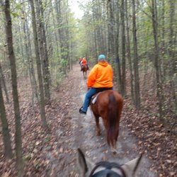 Sweet Haven Farms - Over 38 miles of marked trails, 8 different colors each a large loop. Trails are from 3 to 7 miles in length .