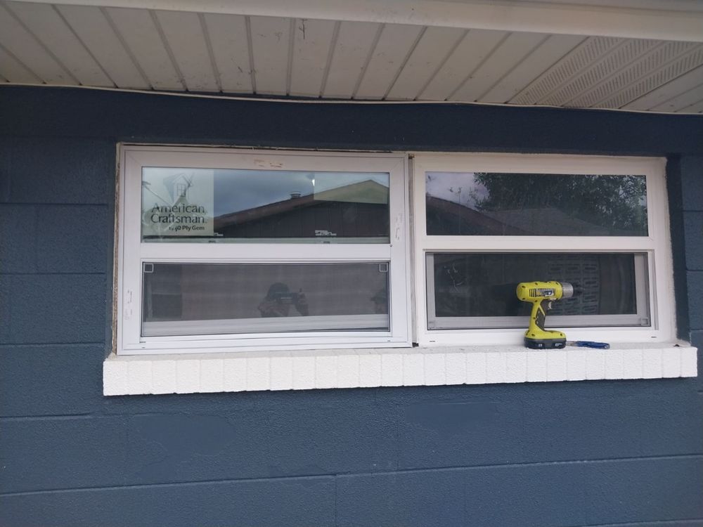 Slide of House Finch