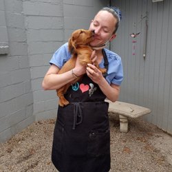 Neponset Animal Hospital - A new cute client pupperz