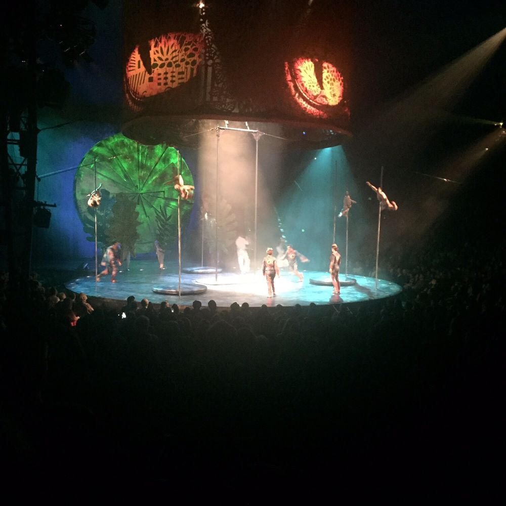 Cirque Du Soleil - LUZIA - Rainforest with pole dancers - Performing Arts Near Me - San Jose, California Cirque Du Soleil - LUZIA - Rainforest with pole dancers - Performing Arts Near Me - San Jose, California