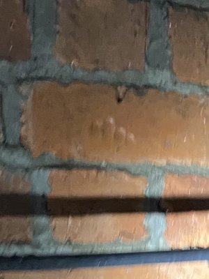 Victoria Tunnel Tours by null