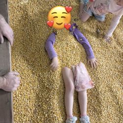 Schmidt's Pumpkin Patch - Making relaxing in the dried corn box