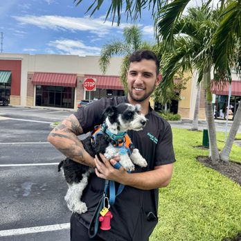 Royal Touch Pet Dental - Holistic Animal Care Near Me