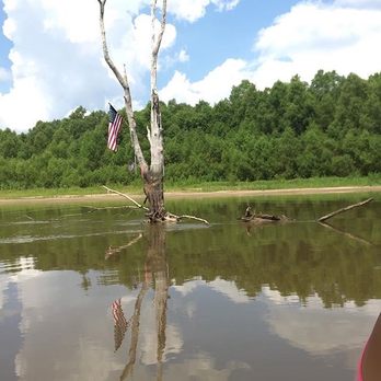 Beyond the Bayou Tours - Picturesque river - Boat Tours Near Me Beyond the Bayou Tours - Picturesque river - Boat Tours Near Me