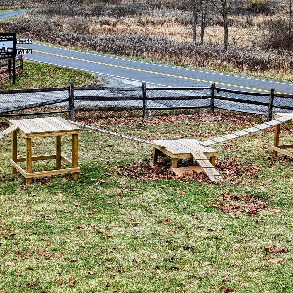 Pure Passions Farm - Goat playground - Attraction Farms Near Me - Kent, Ohio