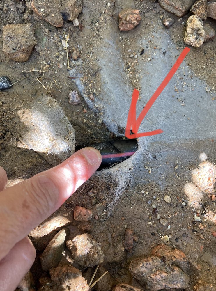 SUNSET SPRINKLERS Updated September 2024 12 Reviews Albuquerque