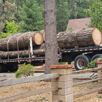Walkers Tree Service - Tree Services Near Me Walkers Tree Service - Tree Services Near Me