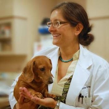 1. Dermatology for Animals - Albuquerque