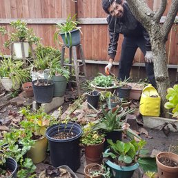 Cleaned and blew out all the fallen leaves Cleaned and blew out all the fallen leaves