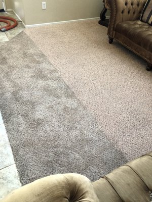 Carpet & Area Rug Cleaning - Our team of experienced cleaning professionals can do it all: Residential Carpet Cleaning & Commercial Carpet Cleaning.