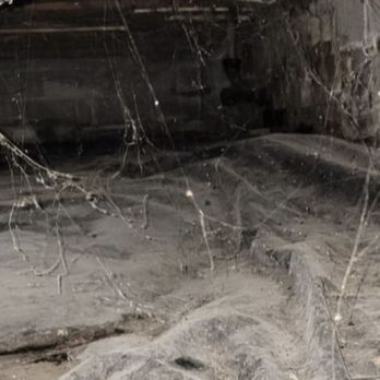 Haven Brook Homes - Moldy crawlspace. - Property Management Near Me - Duluth, Georgia