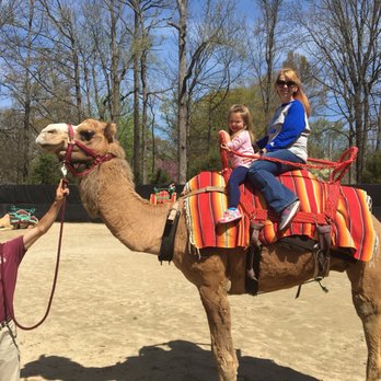 Memphis Zoo - Zoos Near Me - Memphis, Tennessee Memphis Zoo - Zoos Near Me - Memphis, Tennessee