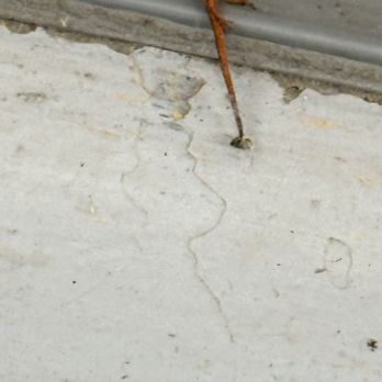 US Storage Centers - Another dead baby lizard - Self Storage Near Me - Mohegan Lake, New York US Storage Centers - Another dead baby lizard - Self Storage Near Me - Mohegan Lake, New York