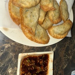 Fried Dumplings