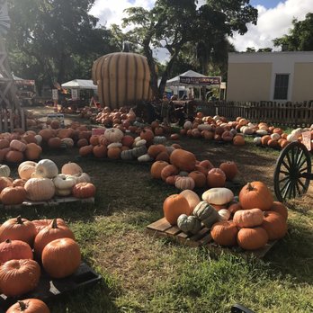 Miami Lakes United Methodist - Churches Near Me - Hialeah, Florida