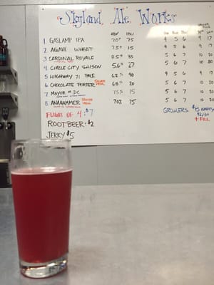 Skyland Ale Works by null