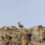 Photo of Sloan Canyon National Conservation Area