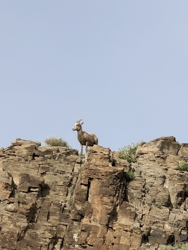 Sloan Canyon National Conservation Area Logo