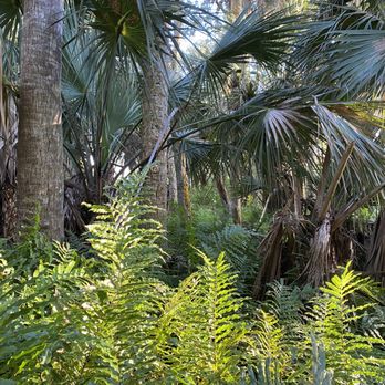 Lagoon Greenway - Beautiful native vegetation - Parks Near Me - Vero Beach, Florida Lagoon Greenway - Beautiful native vegetation - Parks Near Me - Vero Beach, Florida