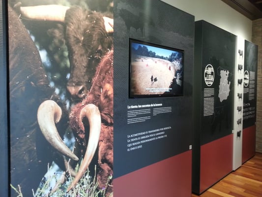 Bullfighting Museum of Cordoba by null