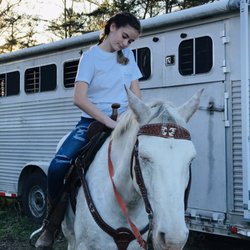 Fosters Riding Stables