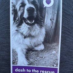 Dash to the Rescue