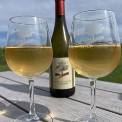 Cassidy Hill Vineyard