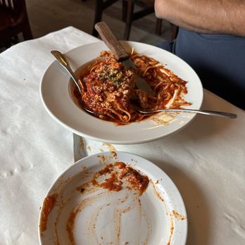 Bernini - Chicken parm - Italian Near Me - Tampa, Florida Bernini - Chicken parm - Italian Near Me - Tampa, Florida