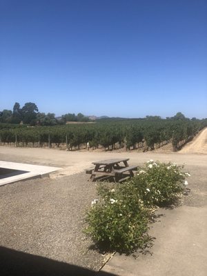 McKenzie-Mueller Winery by null