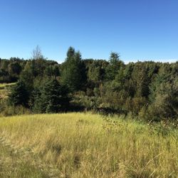 Bunchberry Meadows Conservation Area