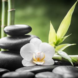 Sunrise Foot and Body massage