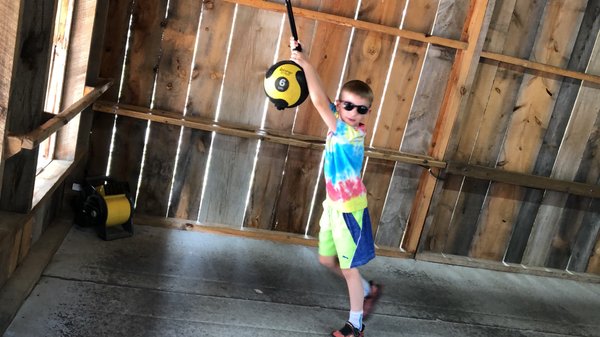 Cosmos Mystery Area by null