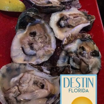 Harry T's - Oysters paired with a run runner were great!! - Seafood Near Me - Destin, Florida Harry T's - Oysters paired with a run runner were great!! - Seafood Near Me - Destin, Florida