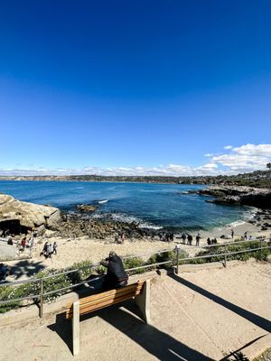 Lifeguard La Jolla Cove by null