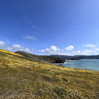 Mori Point - Hiking Near Me - Pacifica, California
