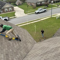 Roof Squirrel