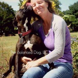 The Balanced Dog - Kayla, certified therapy dog, giving kisses to Jessica.