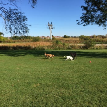 Searls Dog Park - Dog Parks Near Me - Rockford, Illinois Searls Dog Park - Dog Parks Near Me - Rockford, Illinois