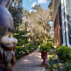 Bayou Teche Museum