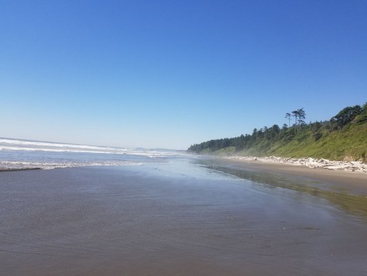 Kalaloch Campground by null