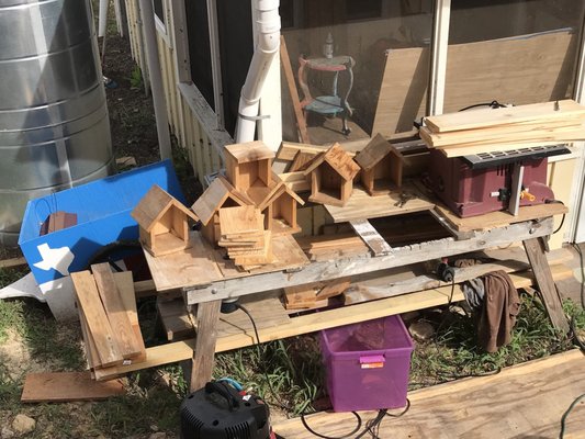 Community First! Village by null