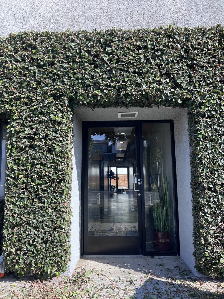 FELICE ACUPUNCTURE Los Angeles, California Acupuncture Phone