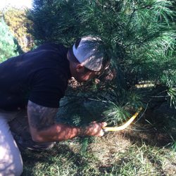 B & D Christmas Tree Farm